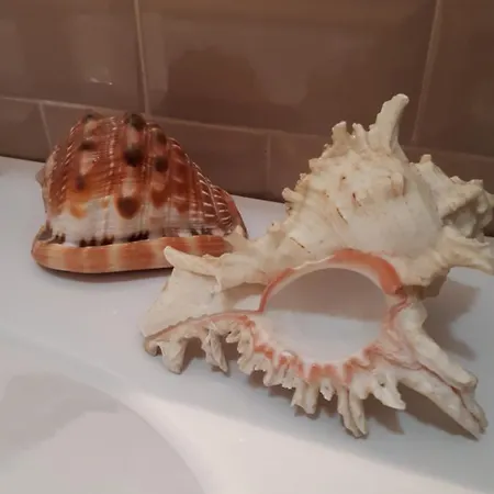 Comoda Posizione, Per 5-terre, Portovenere, Lerici La Spezia