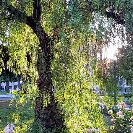 Comoda Posizione, Per 5-terre, Portovenere, Lerici La Spezia