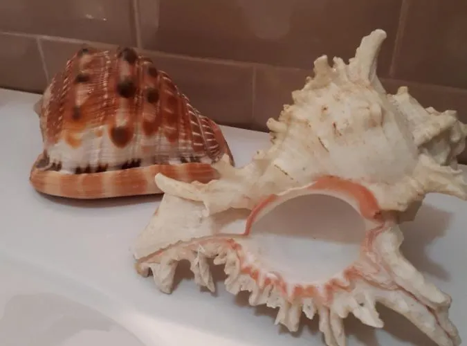 Comoda Posizione, Per 5-terre, Portovenere, Lerici ラ・スペツィア