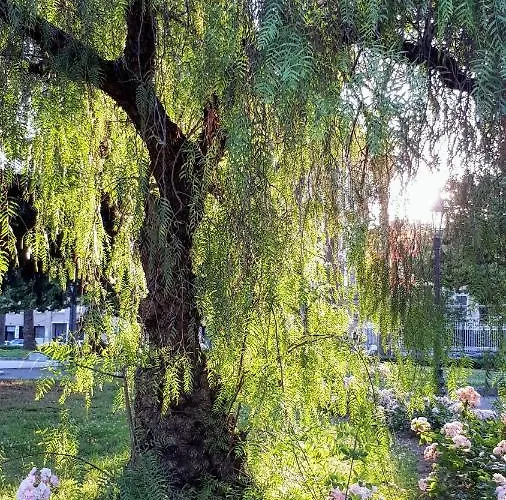 Comoda Posizione, Per 5-terre, Portovenere, Lerici ラ・スペツィア