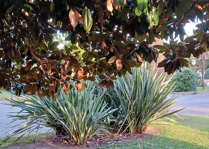 Comoda Posizione, Per 5-terre, Portovenere, Lerici *